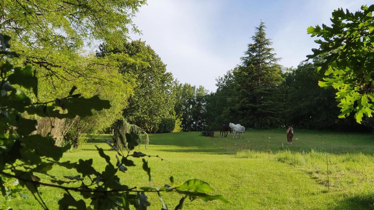 Domaine Du Cardou Hotel Puy-lʼÉvêque Екстериор снимка