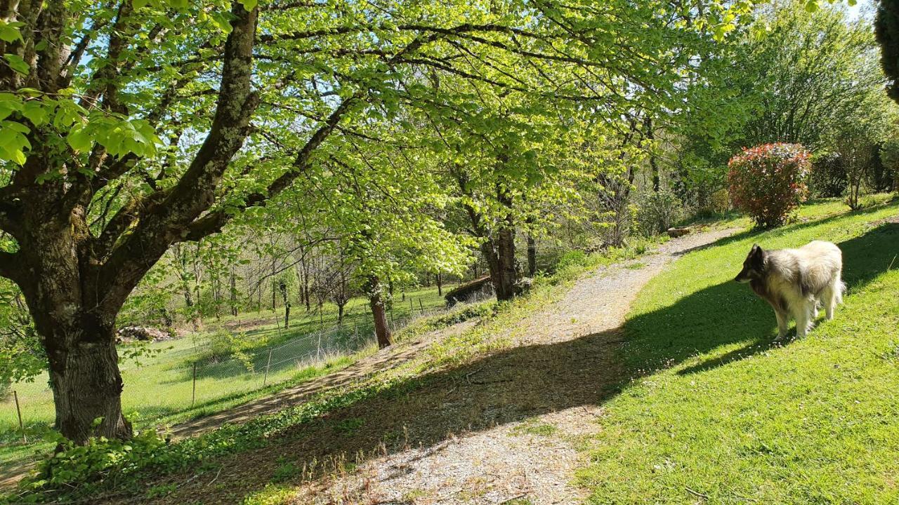 Domaine Du Cardou Hotel Puy-lʼÉvêque Екстериор снимка