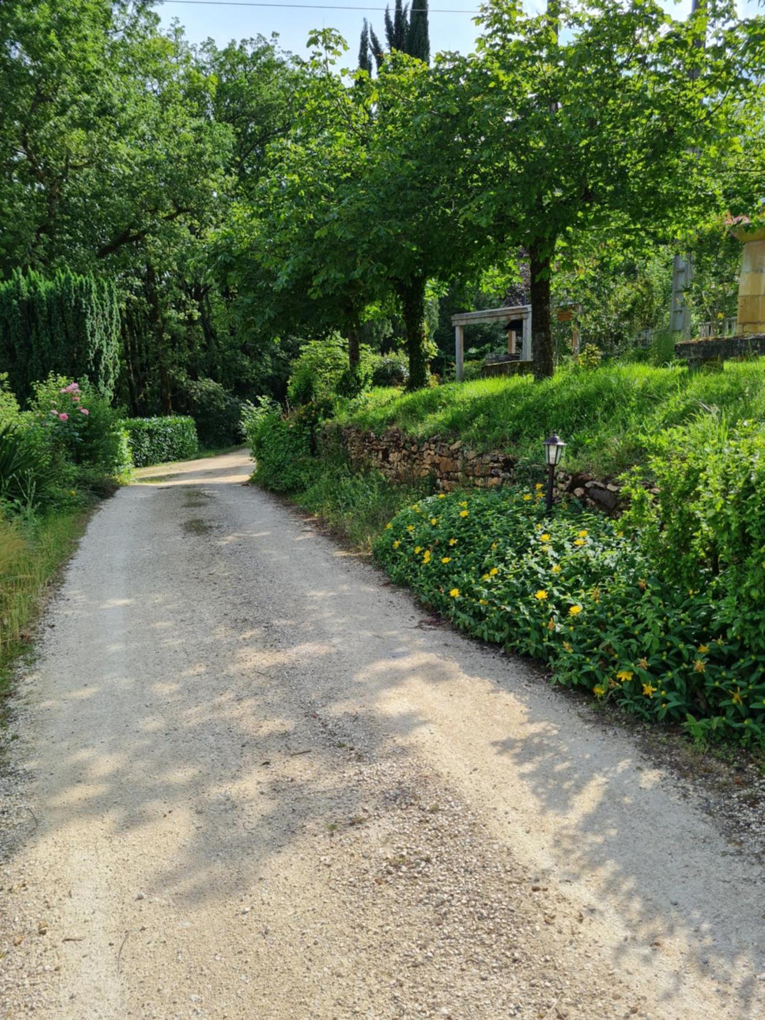 Domaine Du Cardou Hotel Puy-lʼÉvêque Екстериор снимка